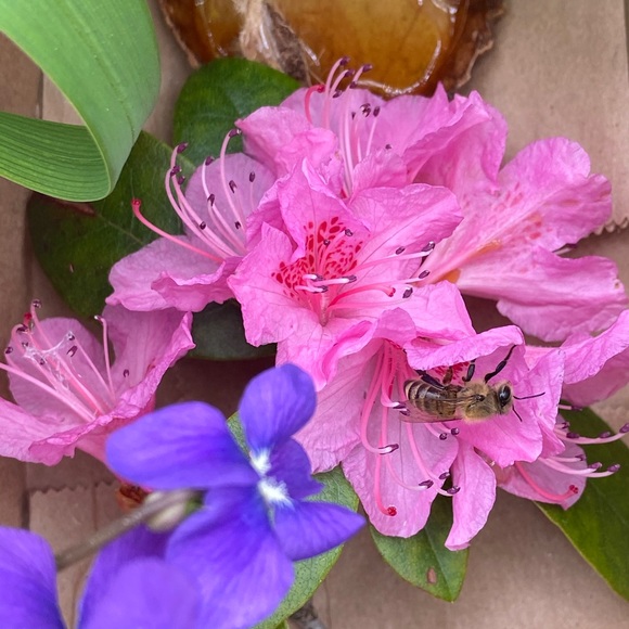 🤗💕Come visit my closet 💕🛍 - Picture 4 of 6